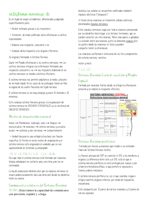 Miniatura del documento Temas3035.pdf