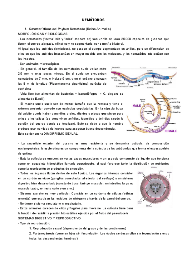 Miniatura del documento NEMATODOS.pdf