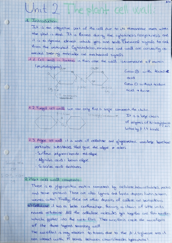 Miniatura del documento Unit-2Anatomy.pdf