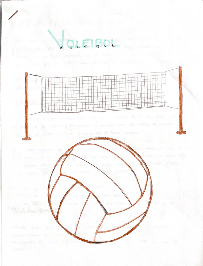 Miniatura del documento VOLEIBOL.pdf