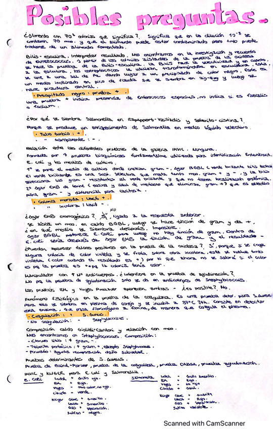 Miniatura del documento Practicas Microbiologia Alimentaria.pdf