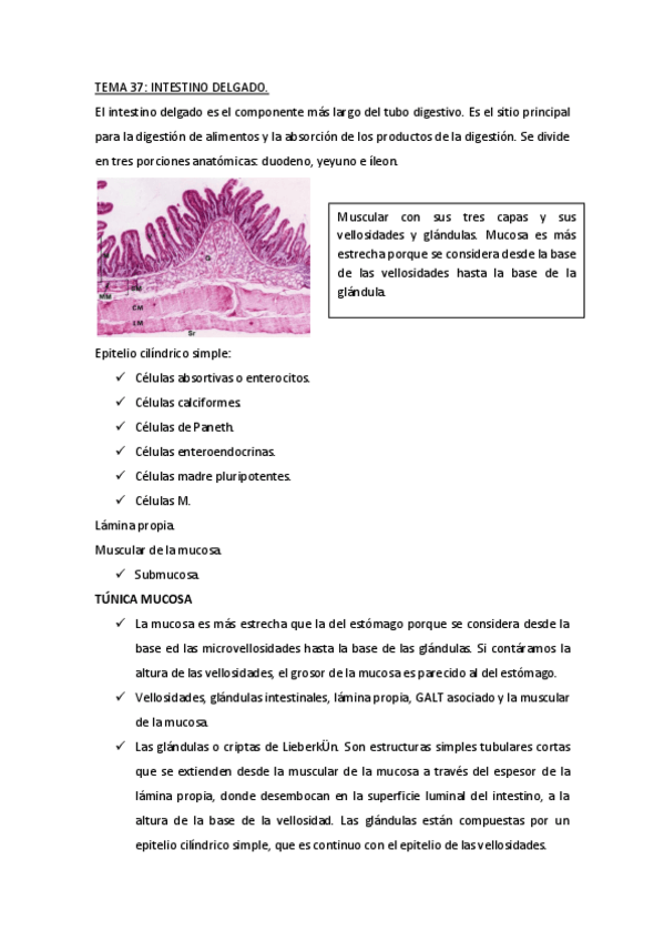 Miniatura del documento TEMA 37.pdf