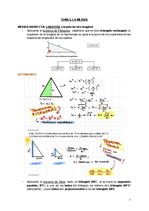 Miniatura del documento TEMA-5.-LA-MEDIDA-parte-2.pdf