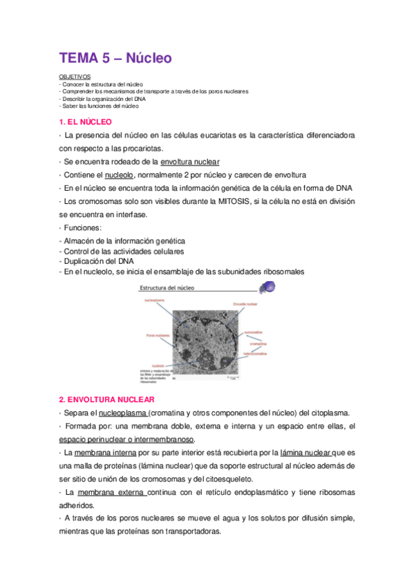 Miniatura del documento Tema-5.pdf