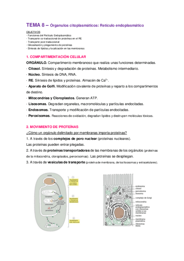 Miniatura del documento Tema-8.pdf
