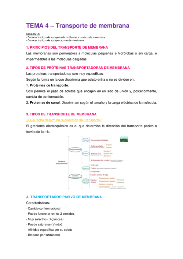 Miniatura del documento Tema-4.pdf