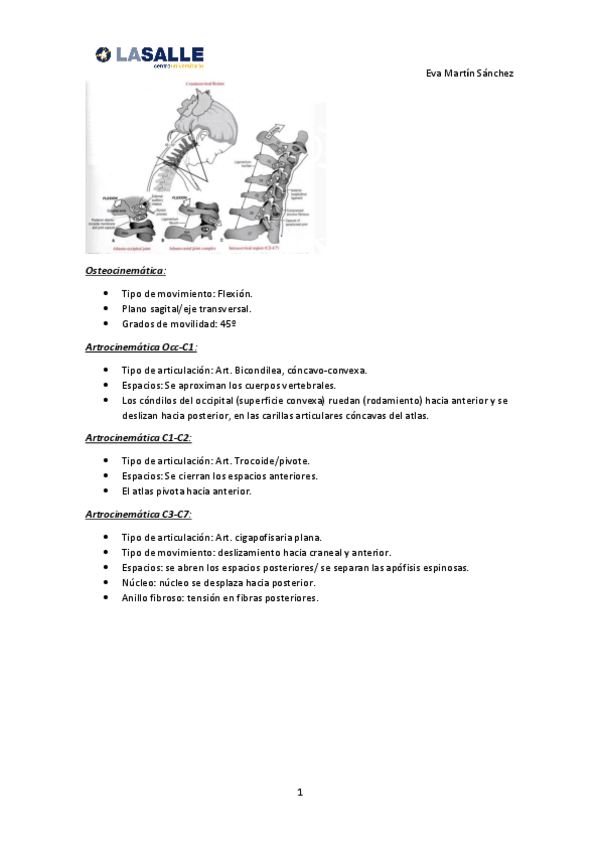 Miniatura del documento Ejercicios-Biomecanica.pdf