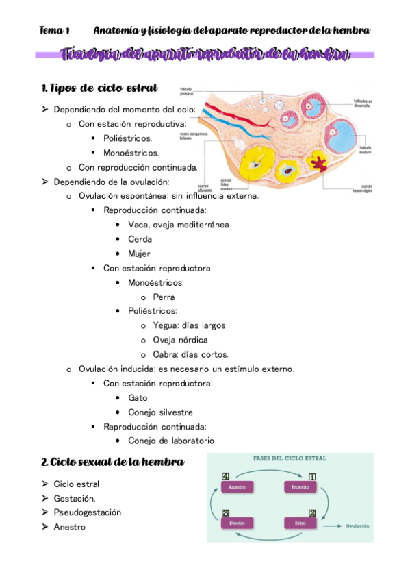 Miniatura del documento TEMA-2-Fisiologia-del-aparato-reproductor-de-la-hembra.pdf