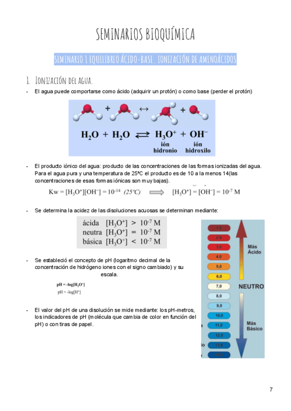 Miniatura del documento Seminarios-bioquimica.pdf