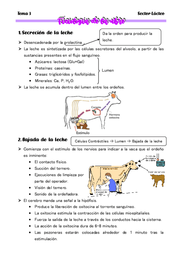 Miniatura del documento TEMA-3-Fisiologia-de-la-ubre.pdf
