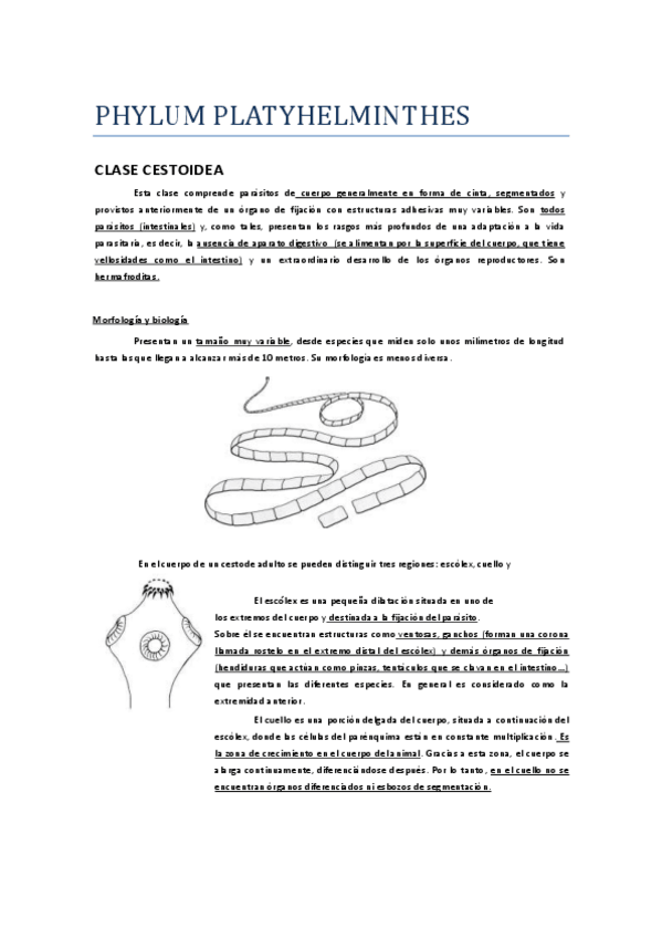 Miniatura del documento Cestodos.pdf