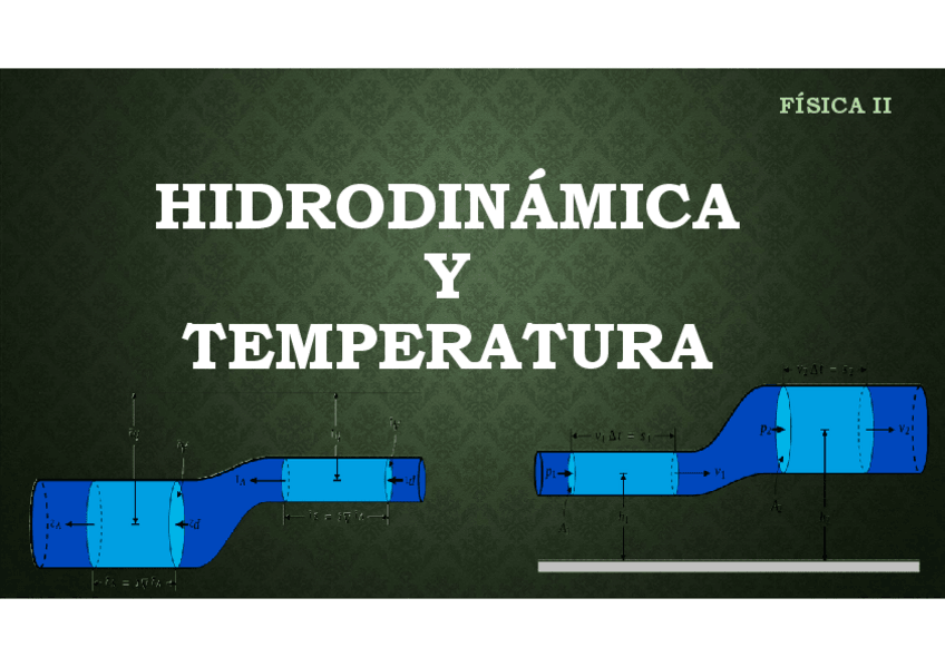 Miniatura del documento Hidrodinamica-y-temperatura.pdf