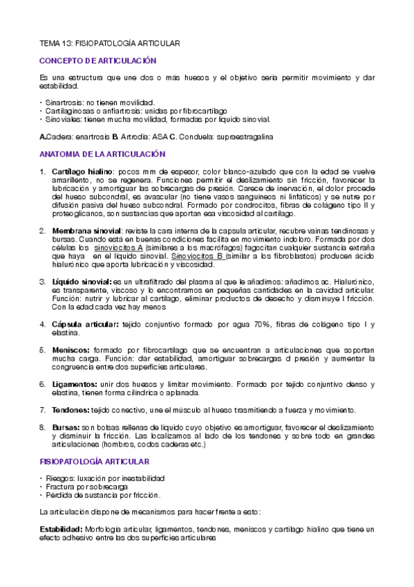 Miniatura del documento TEMA-13.-PDF.pdf