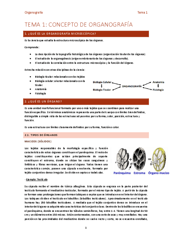 Miniatura del documento Tema-1-organo.pdf