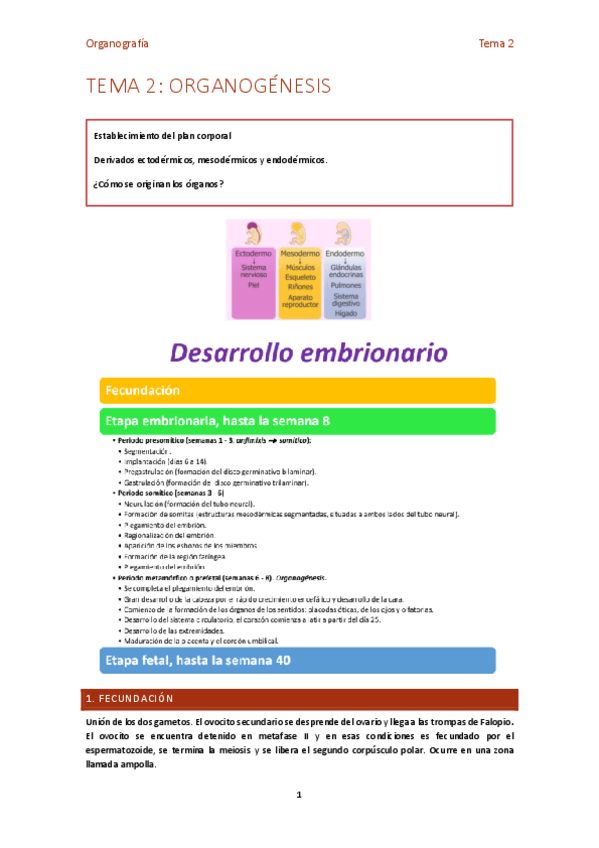 Miniatura del documento Tema-2-organo.pdf