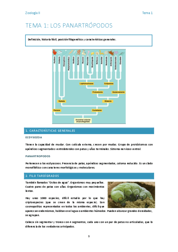 Miniatura del documento Tema-1-zoo2.docx.pdf