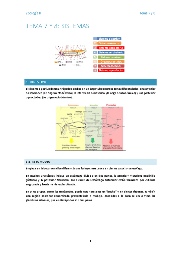 Miniatura del documento Tema-7y-8-zoo2.pdf