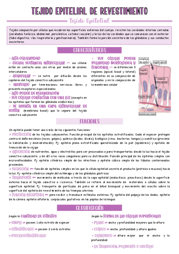 Miniatura del documento Epitelio-de-Revestimiento.pdf