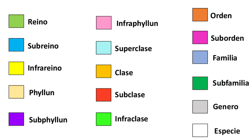 Miniatura del documento Tabla-protozoo.pdf