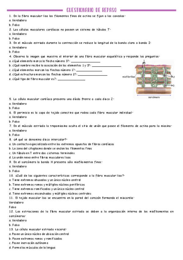 Miniatura del documento Cuestionario-tejido-muscular.pdf