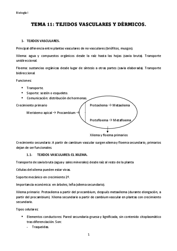 Miniatura del documento TEMA-11.pdf