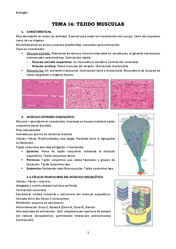 Miniatura del documento TEMA-14.pdf