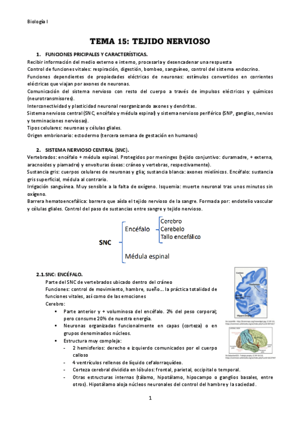 Miniatura del documento TEMA-15.pdf