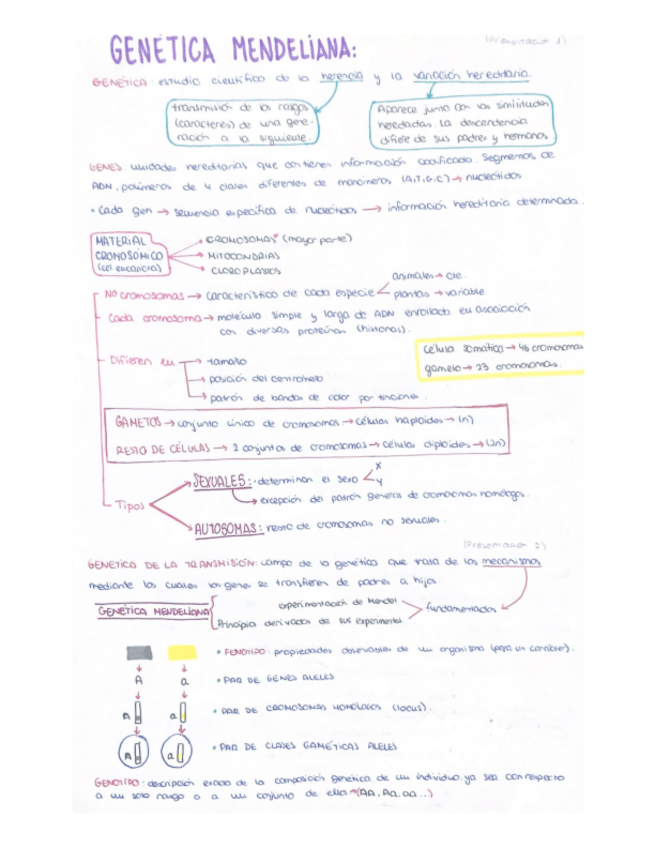 Miniatura del documento APUNTES-Y-EJERCICIOS-GENETICA.pdf
