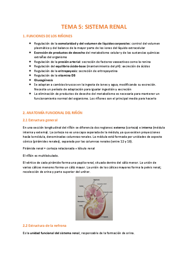 Miniatura del documento TEMA-5-FISIOLOGIA.pdf
