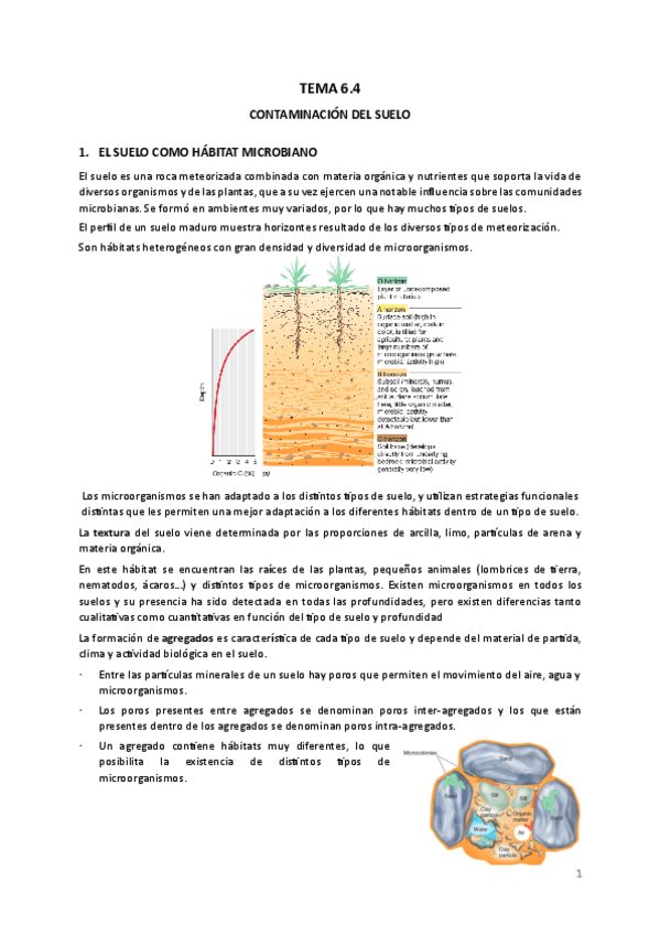 Miniatura del documento TEMA-6.4.pdf