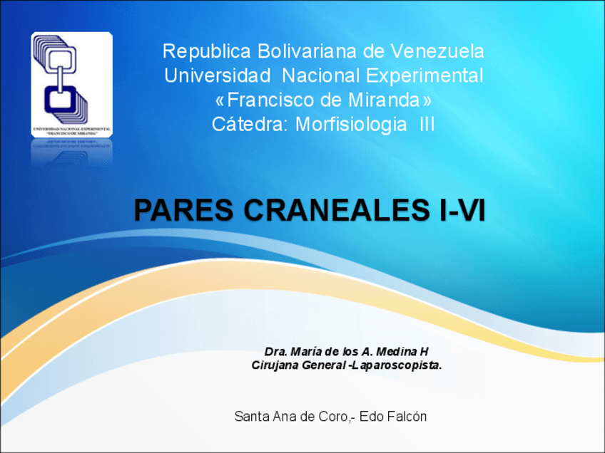 Miniatura del documento PARES-CRANEALES.-Part.-1.pdf