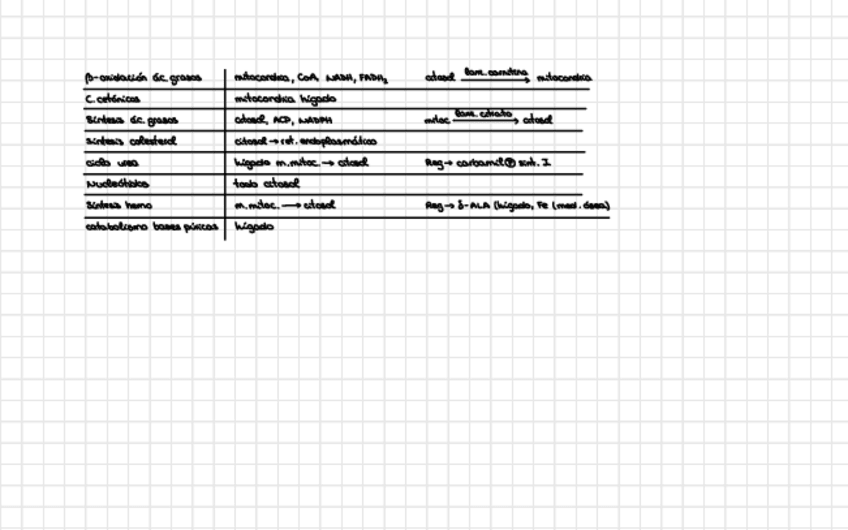 Miniatura del documento Tabla-Resumen-Metabolismo.pdf