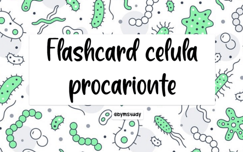 Miniatura del documento FLASHCARD CELULA PROCARIONTE.pdf
