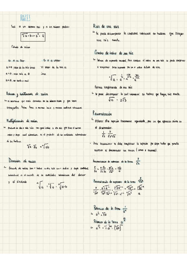 Miniatura del documento Raices.pdf