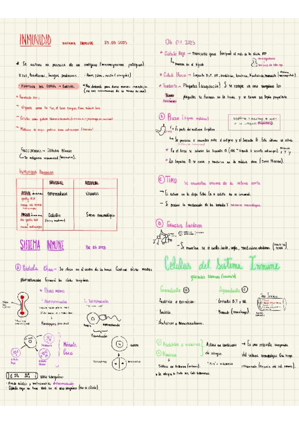 Miniatura del documento Inmunidad.pdf