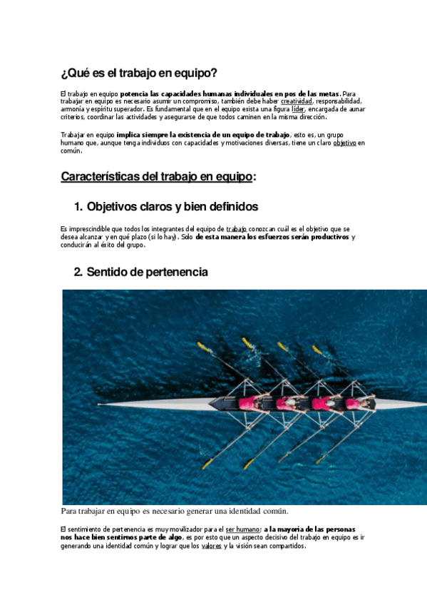 Miniatura del documento Caracteristicas-del-Trabajo-en-EquipoResumen.pdf