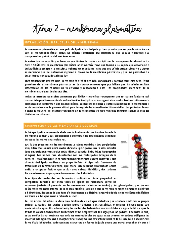 Miniatura del documento Tema 2 - Membrana plasmática.pdf