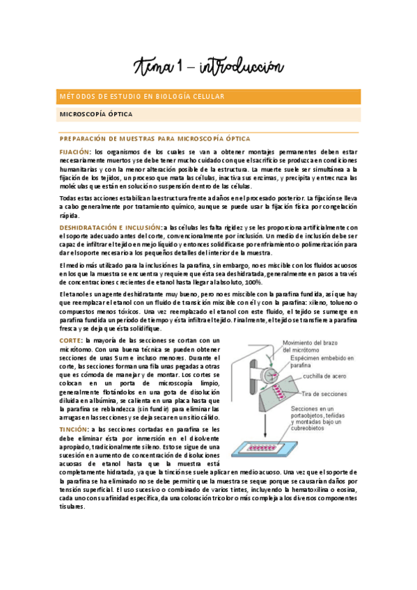 Miniatura del documento Tema 1 - Introducción.pdf
