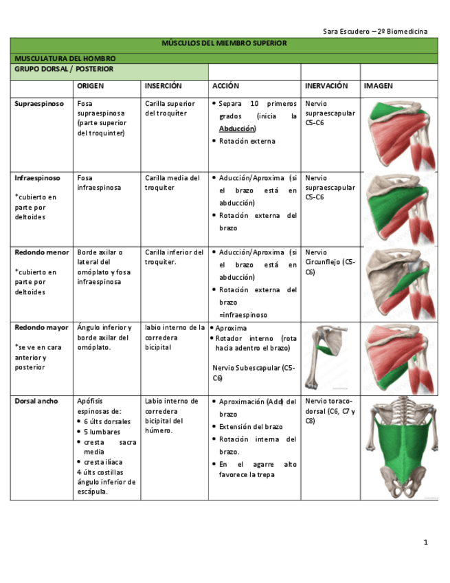 Miniatura del documento Miologia-superior-tablas-estudio.pdf
