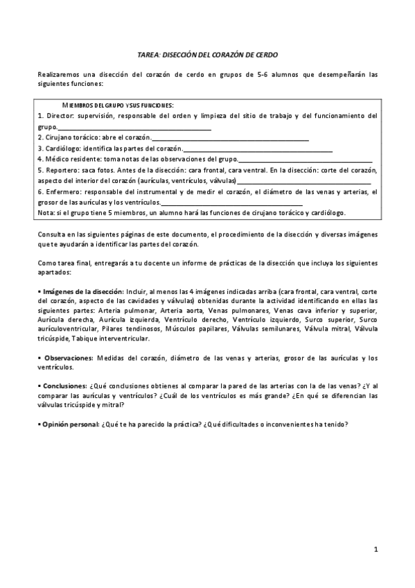 Miniatura del documento Tarea-Diseccion-del-corazon-de-cerdo.pdf