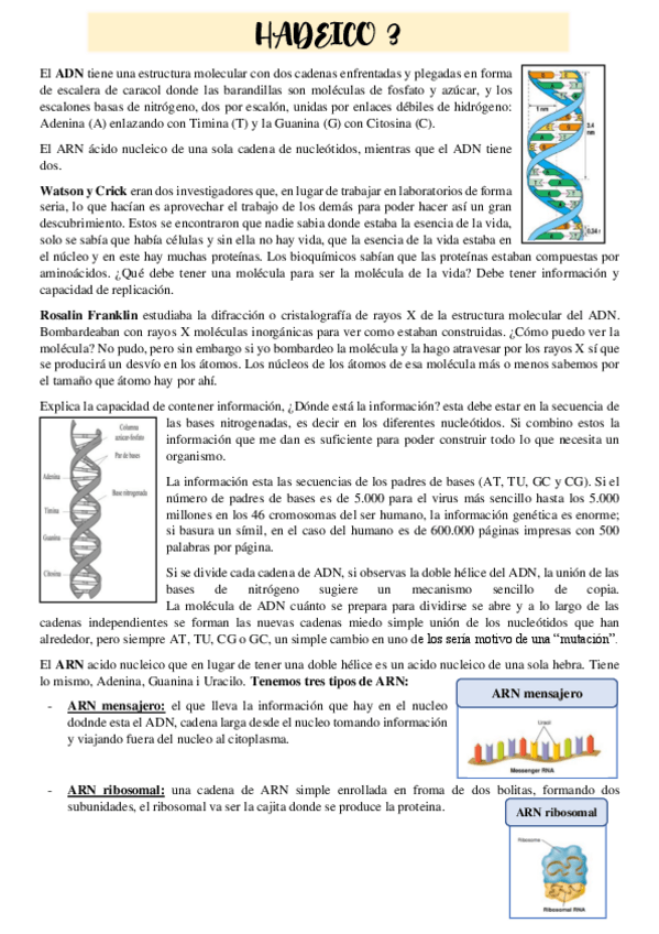 Miniatura del documento HADEICO-3.pdf