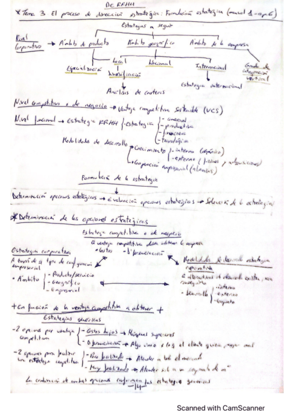 Miniatura del documento dire-estra-rrhh-tema-3.pdf