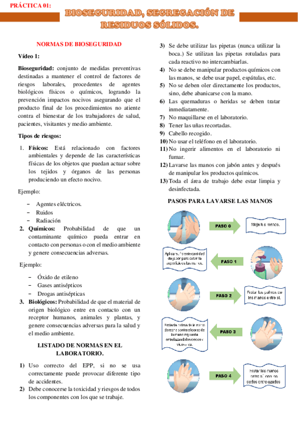 Miniatura del documento NORMAS-DE-BIOSEGURIDAD.pdf