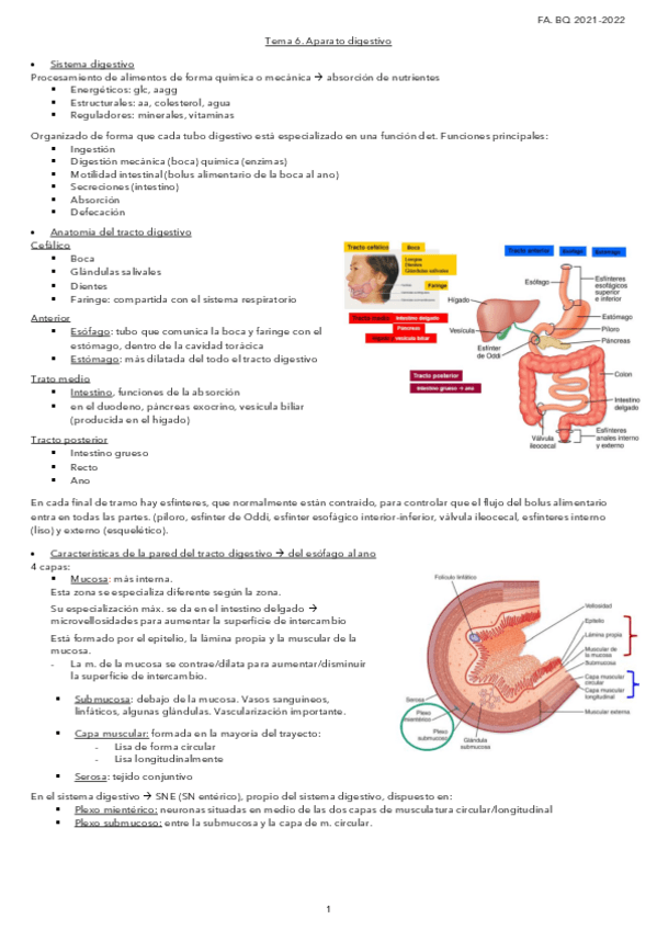 Miniatura del documento Tema-6.-Aparato-digestivo.pdf