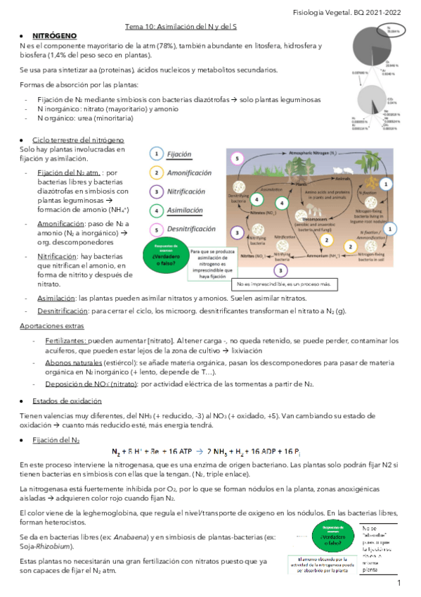 Miniatura del documento Tema-11Asimilacion-de-N-y-S.pdf