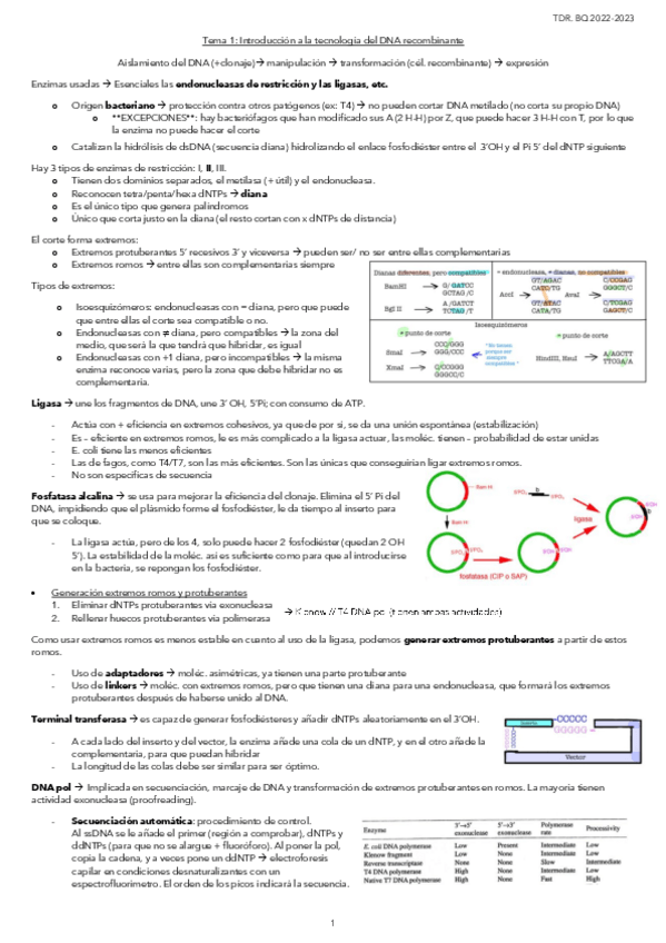 Miniatura del documento Tema-1.-Introduccion-a-la-tecnologia-del-DNA-recombinante.pdf