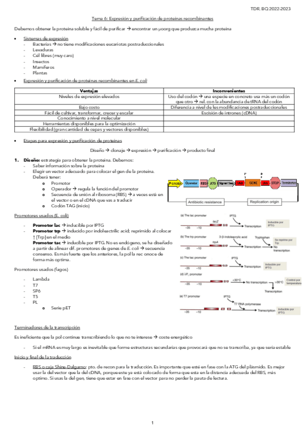 Miniatura del documento Tema-6.-Expresion-y-purificacion-de-proteinas-recombinantes.pdf