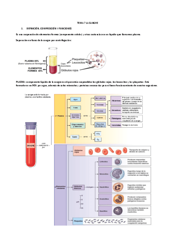 Miniatura del documento FISIOLOGIA-2.pdf