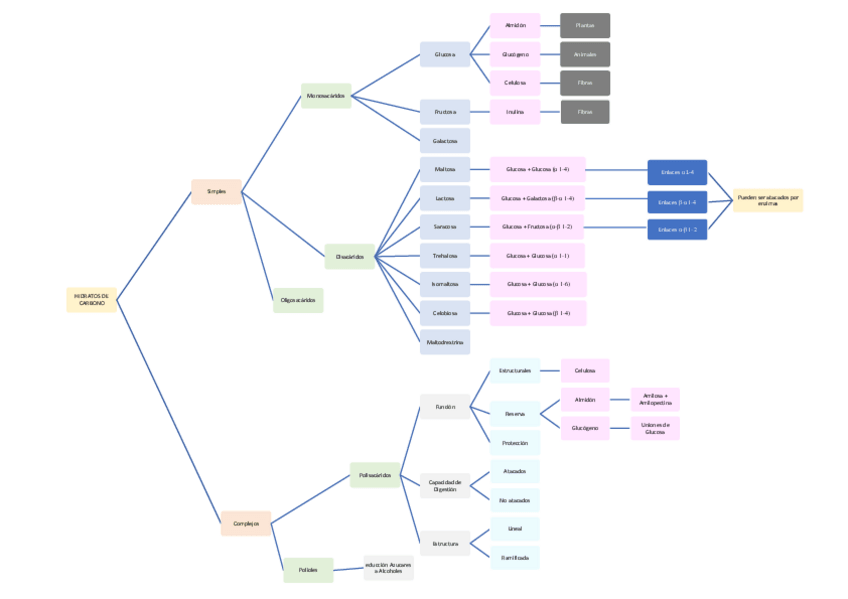 Miniatura del documento Esquema-de-los-Hidratos-de-Carbono.pdf