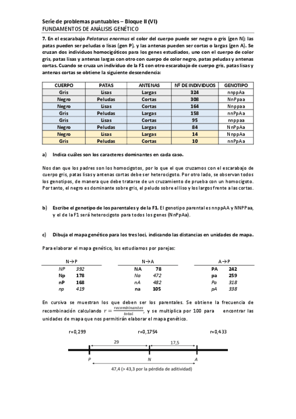 Miniatura del documento SERIE 6 RESUELTA.pdf